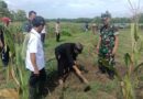 Semut Ireng dan Petani Hutan Sambiroto Blora Tanam 1000 Pohon