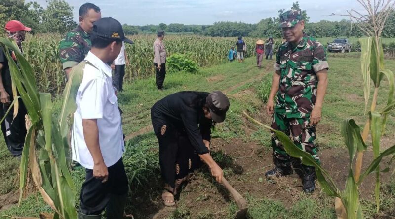 Semut Ireng dan Petani Hutan Sambiroto Blora Tanam 1000 Pohon